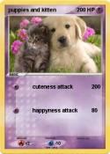 puppies and