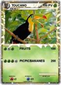 TOUCANO