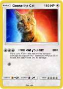 Goose the Cat