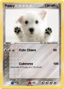 Puppy