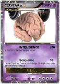 CERVEAU