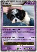 Puppy