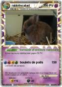 rabbitscalad