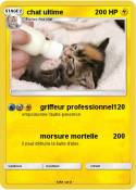 chat ultime