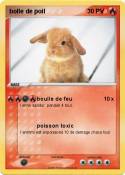 bolle de poil
