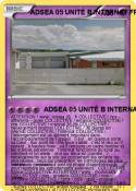 ADSEA 05 UNITÉ B INTERNAT FRANCE IME FRANCE