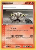 devasted cat