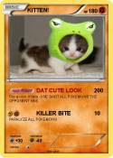 KITTEN!