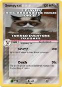Grumpy cat