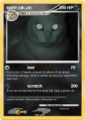 spirit cat