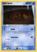 bébé bavor