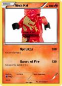 Ninja Kai