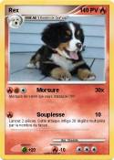 Rex