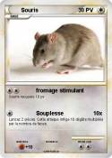 Souris