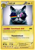 cool cat