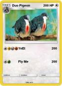 Duo Pigeon