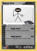 Badlyst Ninja
