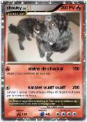chouky