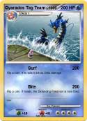 Gyarados Tag