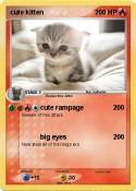 cute kitten