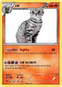 cat