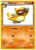 mario cat