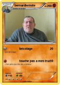 bernardlermite