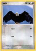 aigle
