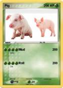 Pig