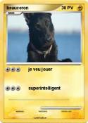beauceron