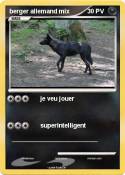 berger allemand