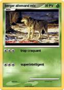 berger allemand
