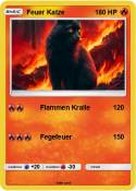 Feuer Katze