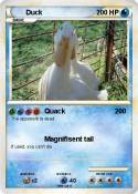 Duck