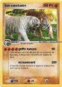lion sanctuaire