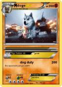 doge