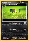 creeper chat