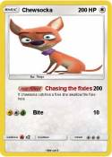 Chewsocka
