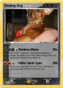 Donkey Dog