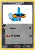 mudkip
