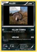KILLER