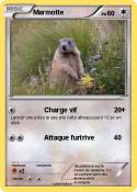 Marmotte