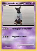 chien empailer