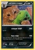 cat loves creep