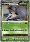 Monkey and Cat