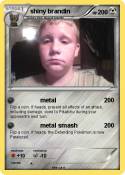 shiny brandin
