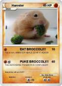 Hamster