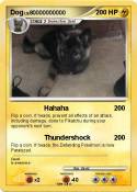 Dog