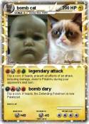 bomb cat