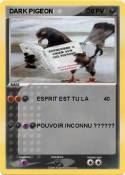 DARK PIGEON